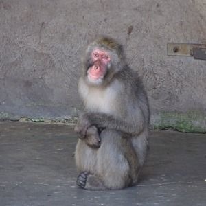 Meet your Posher, Lynne